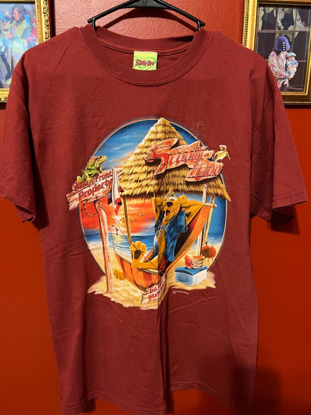 Scooby-Doo Men’s Maroon Graphic T-Shirt